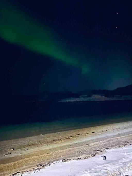 Holiday Home With Sauna In The Arctic Caribbean, Tromsø Kültér fotó